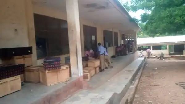 Snake bites student of Have Senior Tech Institute