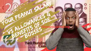 Your Peanut Salary Vs Allowances, Benefits for top management of SOEs in Ghana