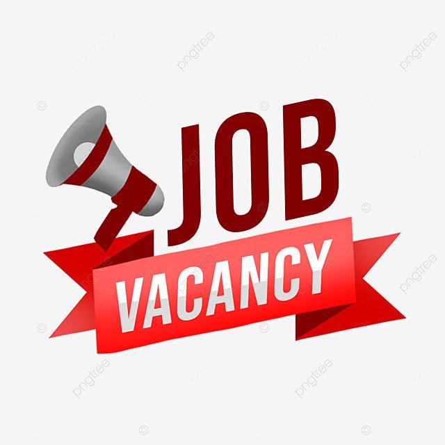 Job Vacancy For Digital Marketer in a reputable tech company rooted in profound commitment to making a lasting impact on Africa's digital landscape Maths and Science Teacher needed for 2023 BECE candidate 100 Online Writers Needed on GhanaWebNews .... Job Vacancy: Vice President of Sales, Aurea Software (Remote) - $400,000/Y (Kumasi)