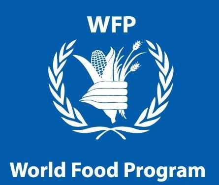 Job Vacancy For Programme Policy Officer (Food Systems)