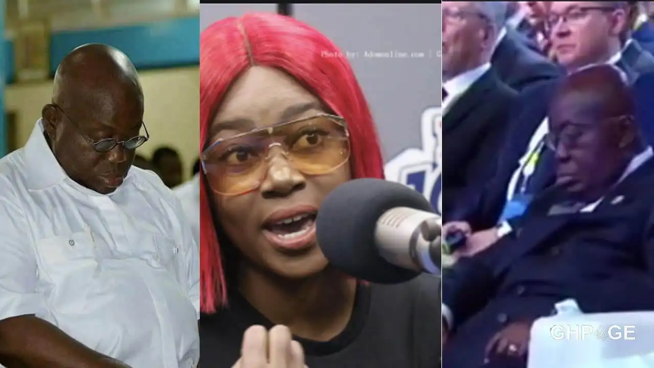 Calls Yvonne Nelson Received From Mahama and Akufo-Addo