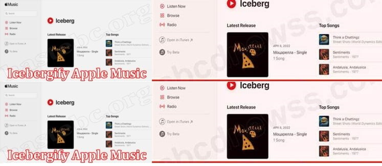 Icebergify Apple Music Website: Apple Music taste obscurity analyzer