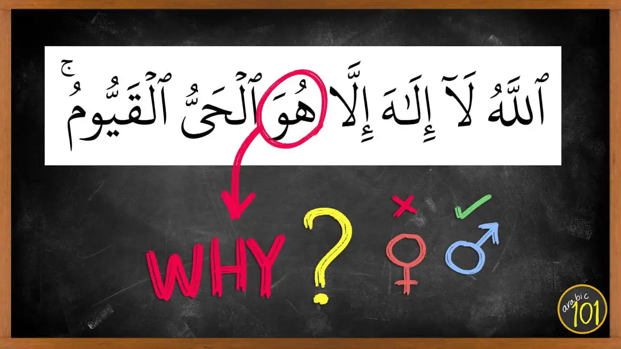 Why, in the Quran, does Allah refer to Himself as we?