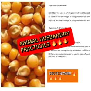 WASSCE 2023: Sample Animal Husbandry Practical Questions