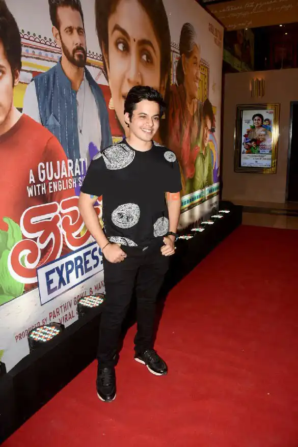 Darsheel Safary