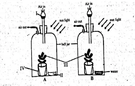 2023 BECE Integrated Science Practical Mock Question (FINAL MOCK) By Ghana Education News