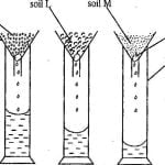 BECE Best Brain Science Mock Practicals Leaks