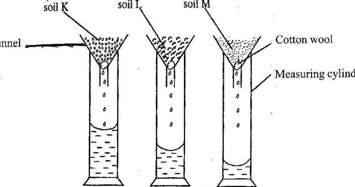 BECE Best Brain Science Mock Practicals Leaks