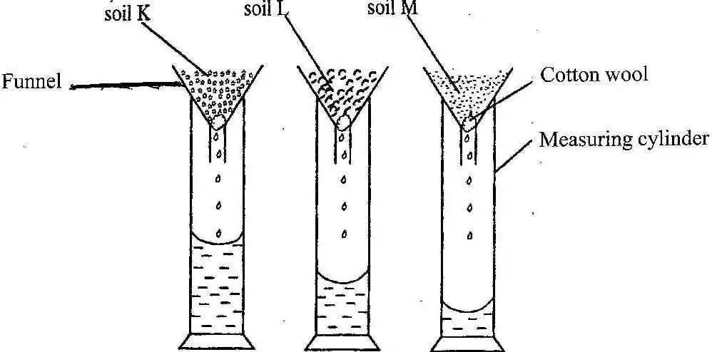BECE Best Brain Science Mock Practicals Leaks