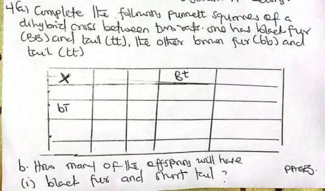 2023 WASSCE Biology Questions