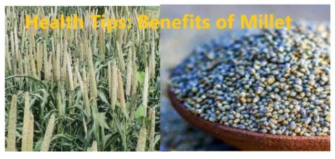 Good Reasons Why You Should Include Millets In Daily Diet