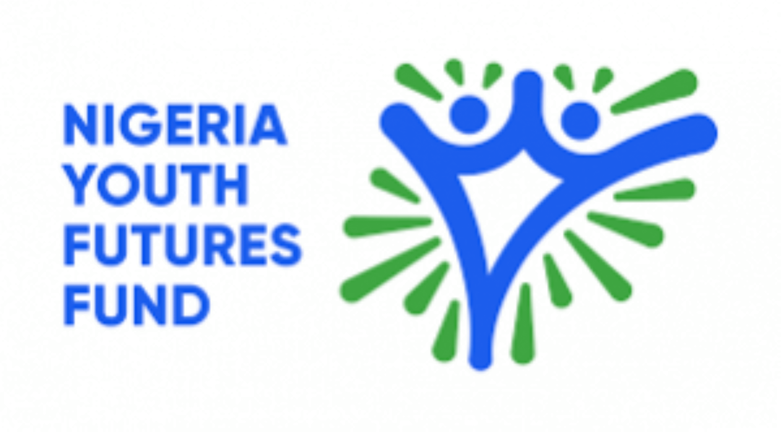 NYFF Young Leaders Development Funds 2023