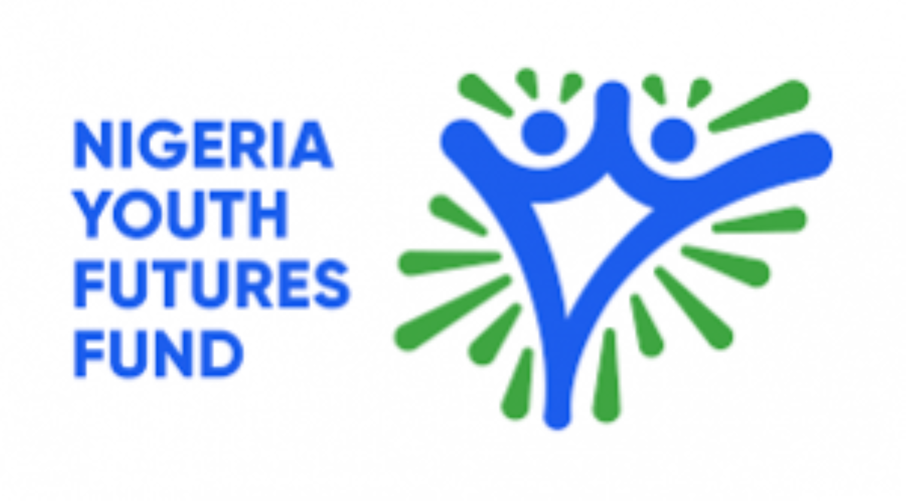 NYFF Young Leaders Development Funds 2023