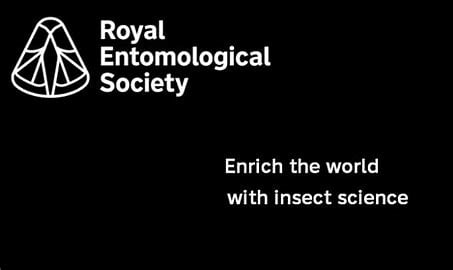 Royal Entomological Society Photography Competition 2023