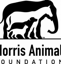 Morris Animal Foundation Wildlife Fellowship Training 2023
