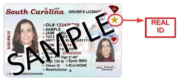How to Renew Your Driver's License in South Carolina