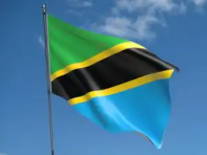 Tanzania flag