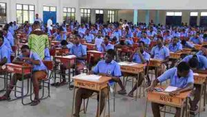2023 Biology NovDec (WASSCE PC) Likely Questions For Candidates Metal Work WASSCE 2023 Questions