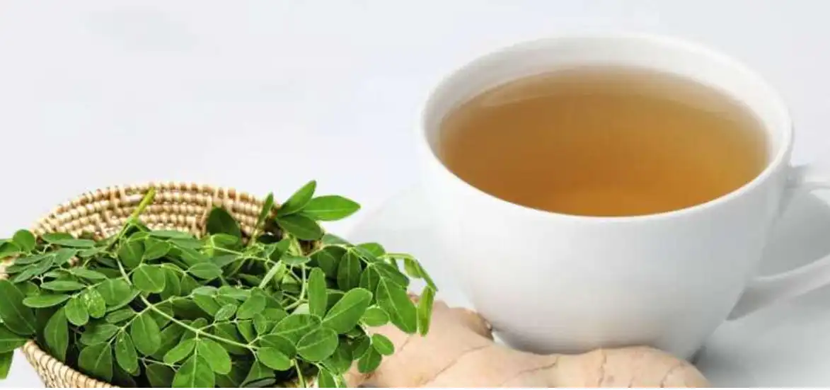 Ginger And Moringa: See The Miraculous Combination That Fights Many Diseases