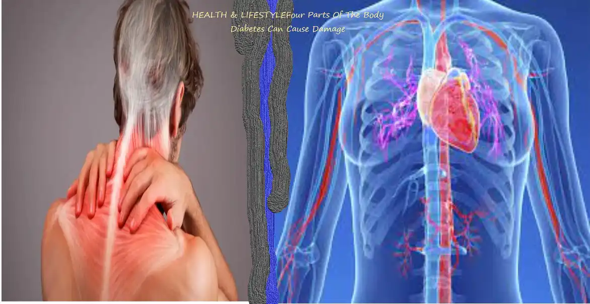 Four Parts Of The Body Diabetes Can Cause Damage