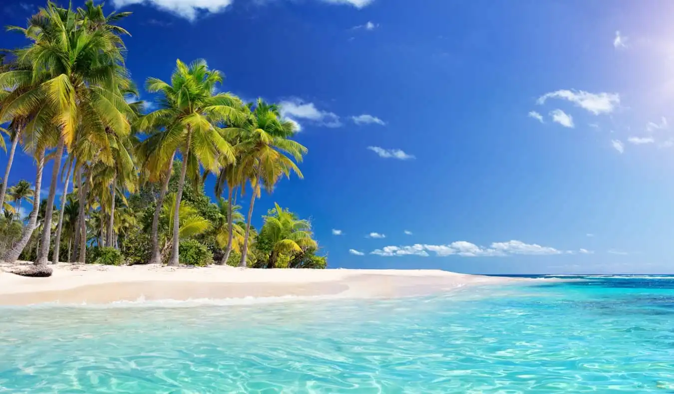 Five Largest Islands In The World, Check Which Continent Has More