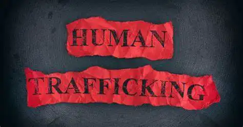 Accused Internet Fraudsters in Court Over Human Trafficking