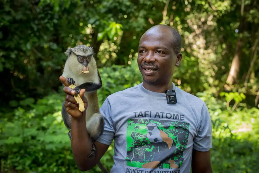 Once upon a coup in Tafi