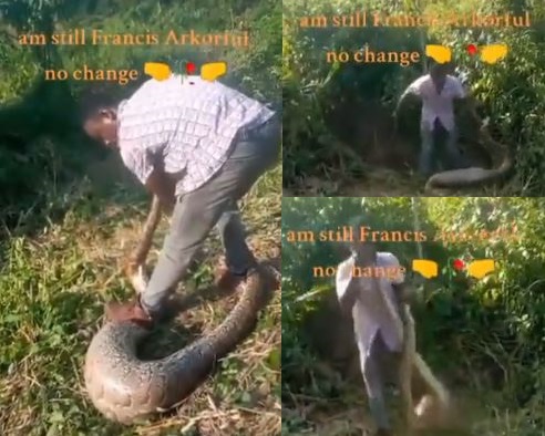 Brave Ghanaian farmer battles and overpowers 7-feet wild python on his farm (Video)