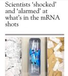 .Now, McKernan, Dr Buckhaults and other scientists are calling for urgent research to test whether the DNA contamination is lingering in the cells of mRNA vaccinated people, and whether the human genome has in fact been altered by mRNA Covid vaccines."