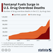 United States Drug Overdose Deaths: A Tragic Rise
