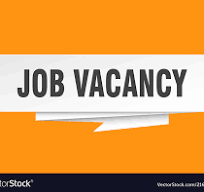 Job Vacancy For IT Officer