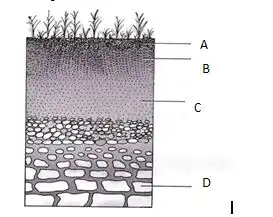 2024 BECE Integrated Science Mock 2 PRACTICALS with Answers