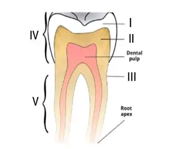 2024 BECE Integrated Science Mock 2 PRACTICALS with Answers