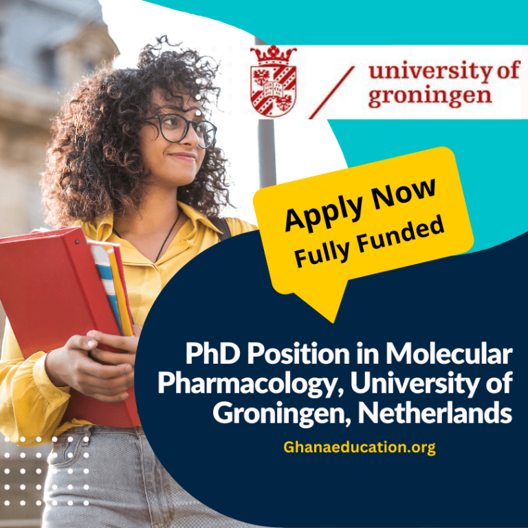 university of groningen phd position