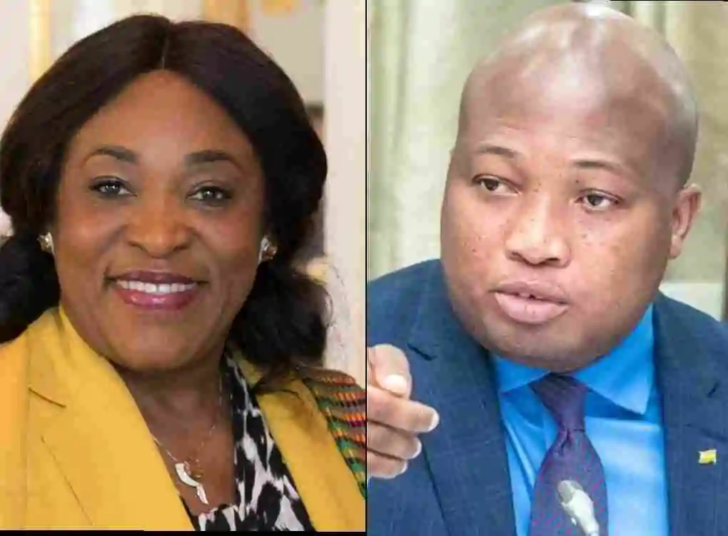 Go And Make Ghana Proud - Okudzeto Ablakwa Hails Ayorkor Botchwey For Commonwealth Job