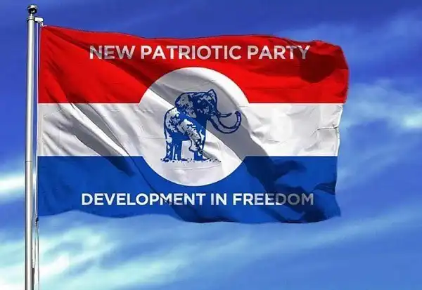 NPP Vice Chairman Resigns; Here’s Why