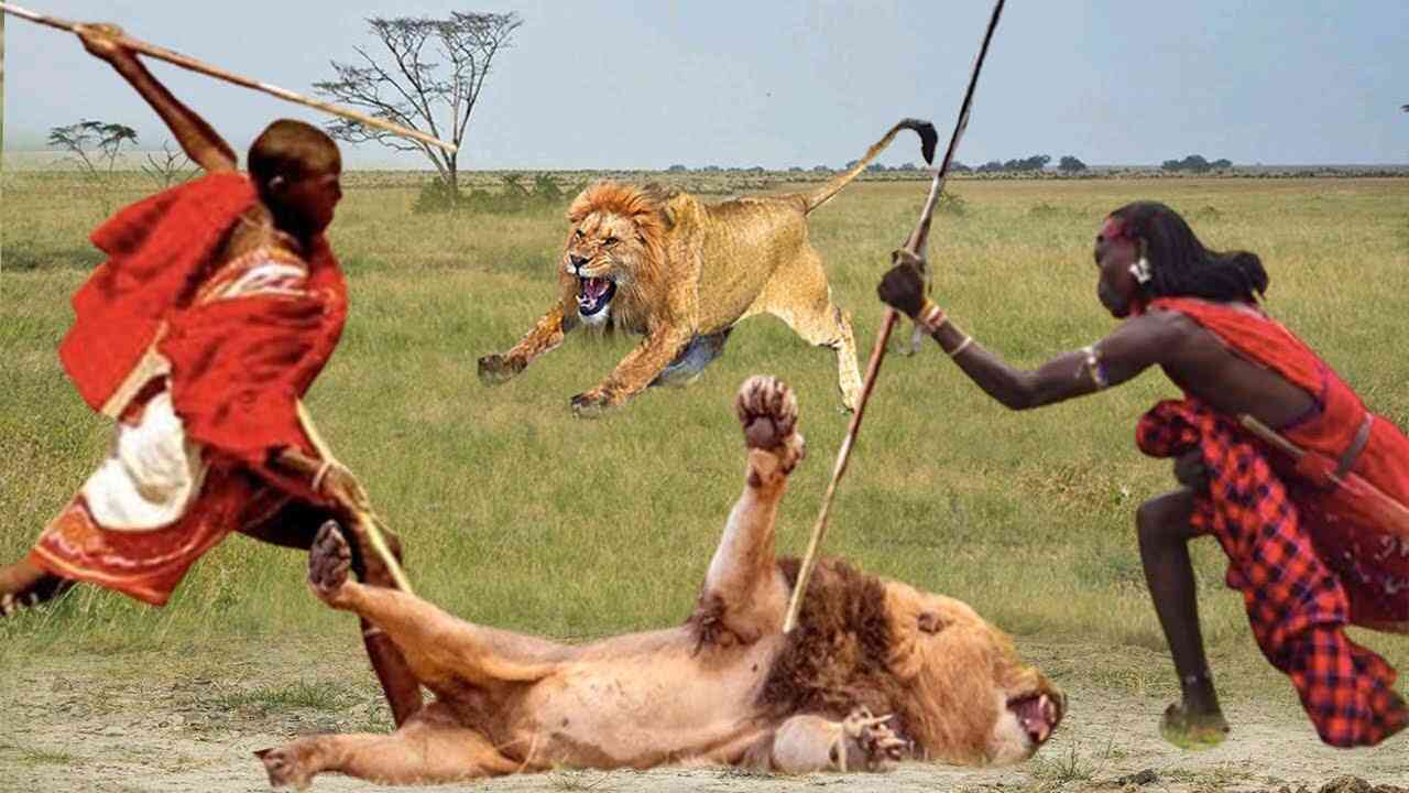 Kenya Couple Wrestle And Defeat Lion That Attacked Them