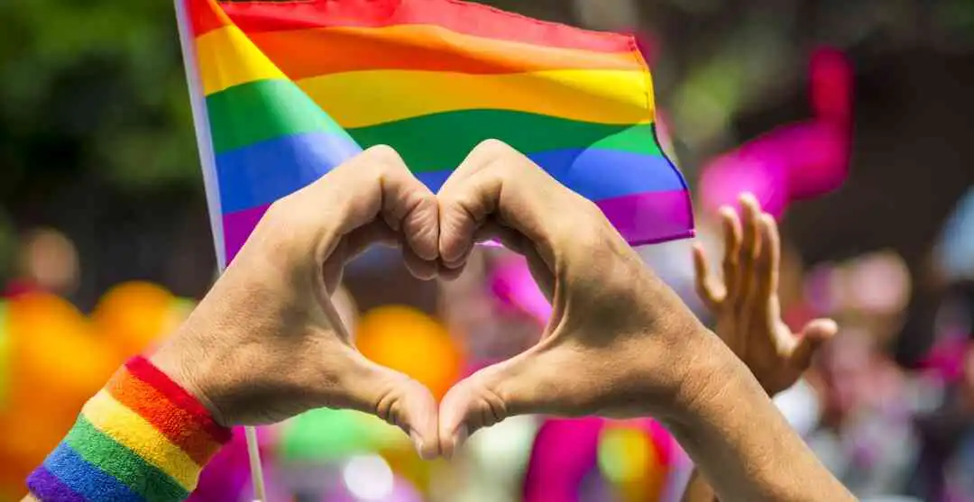 Check Out The Full Meaning Of LGBTQQIP2SAA