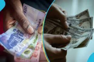 The Cedi Dollar exchange rate for March 13th, 2024
