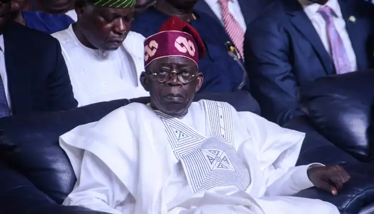 Nigeria's President Halts Foreign Trips by Government Officials