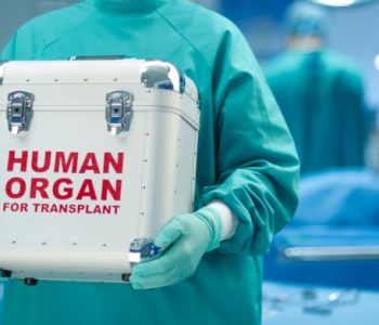 Organ Harvesters Now Use Scholarship Offers to Lure Victims
