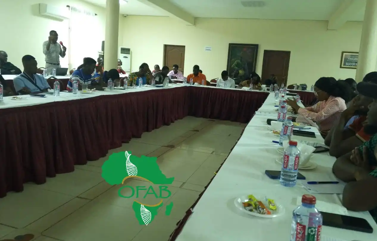 Is Ghana Ready to Embrace GMOs for Agricultural Advancement and Food Security?