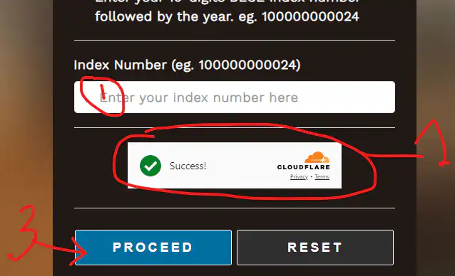 2024 school placement FAKE site