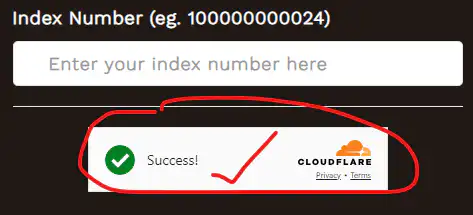2024 school placement FAKE site