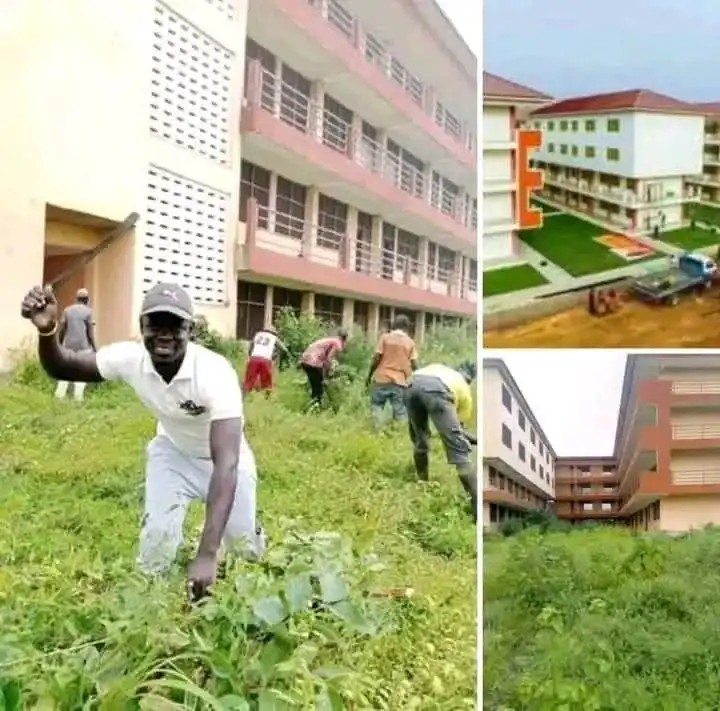 restoring JDM’s abandoned E-blocks