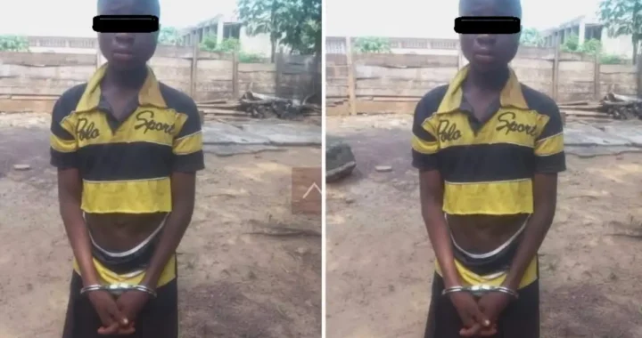 JHS Boy Arrested for Mother's Murder