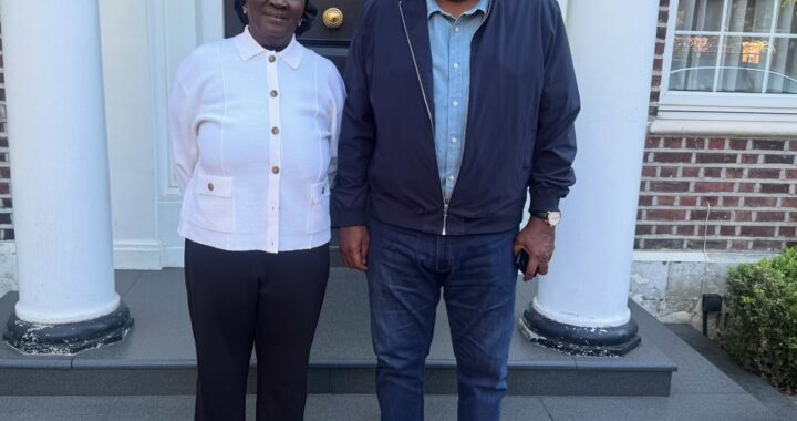 Mahama Honors VP Opoku-Agyemang