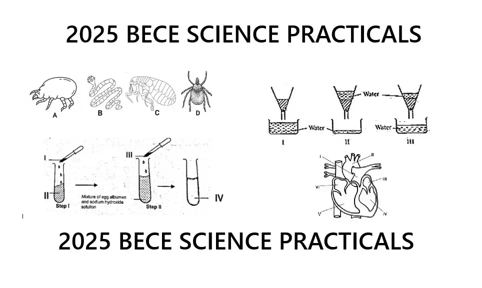 2025 BECE Science (Practical) Revision Q & A Before Bed Time