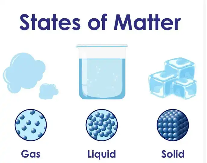 2025 BECE Science Projected Topics