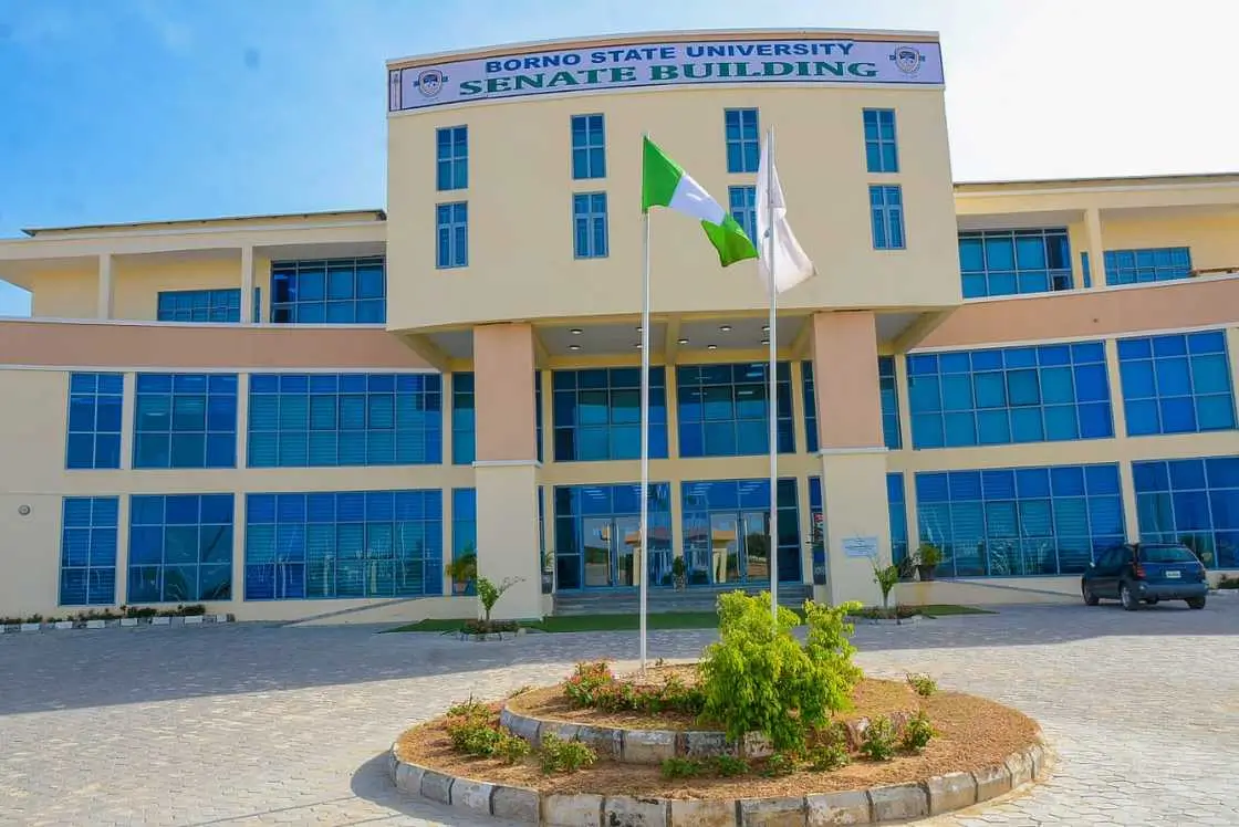 Borno State University Courses and Admission Requirements - Full Guide